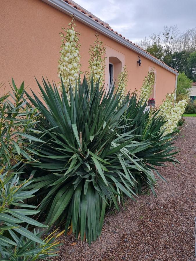 Le Logis Du Marais Bed and Breakfast Les Magnils-Reigniers Eksteriør billede